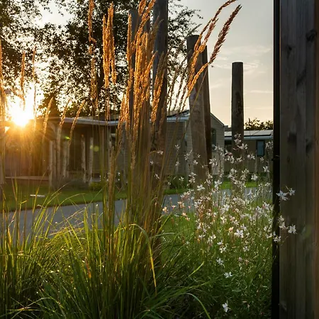 Hippodroom بريدين